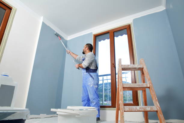 Mold Removal for HVAC Installations in Hampton, AR