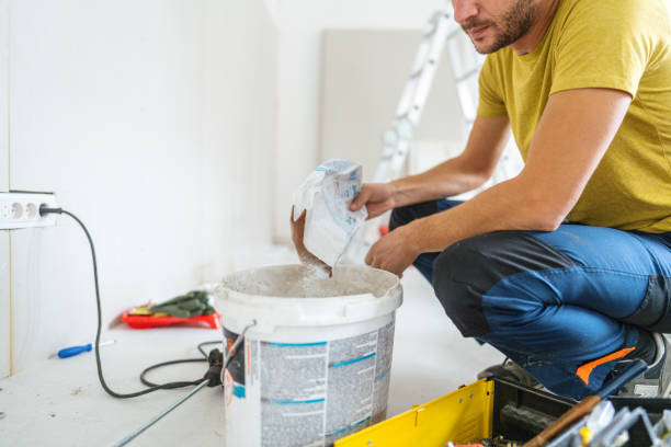 Best Black Mold Removal  in Hampton, AR