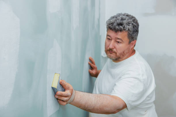 Best Asbestos and Lead Testing During Mold Inspection  in Hampton, AR